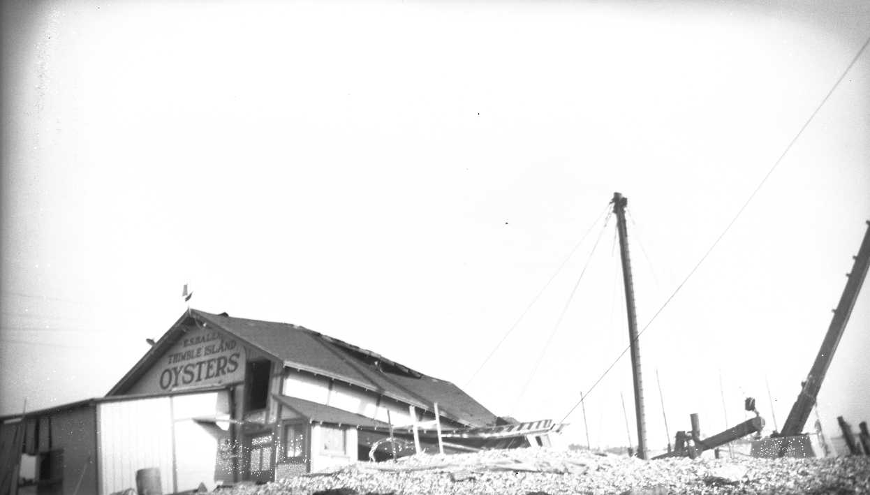 1938 hurricane, Stony Creek