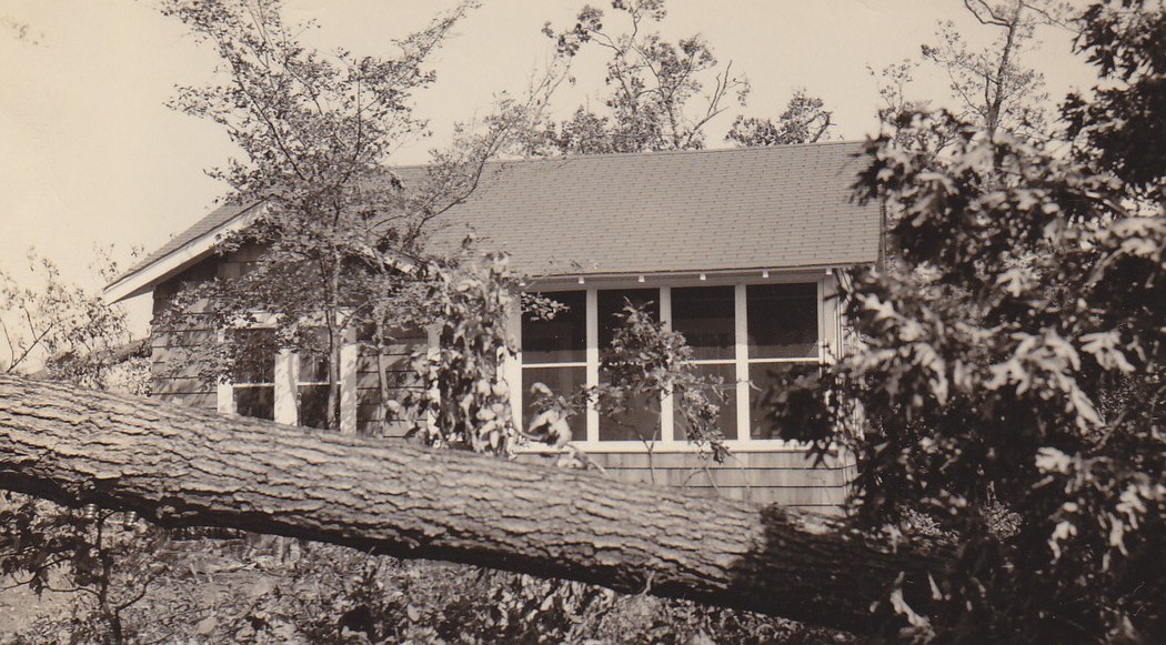 Summer-M-J-Mellor-cottage.jpg