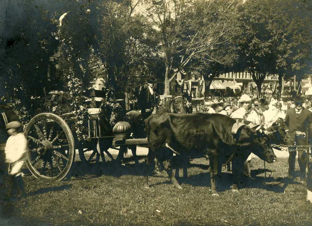 1905-Carnival-Judson-Stent-&-Ox-Team.jpg