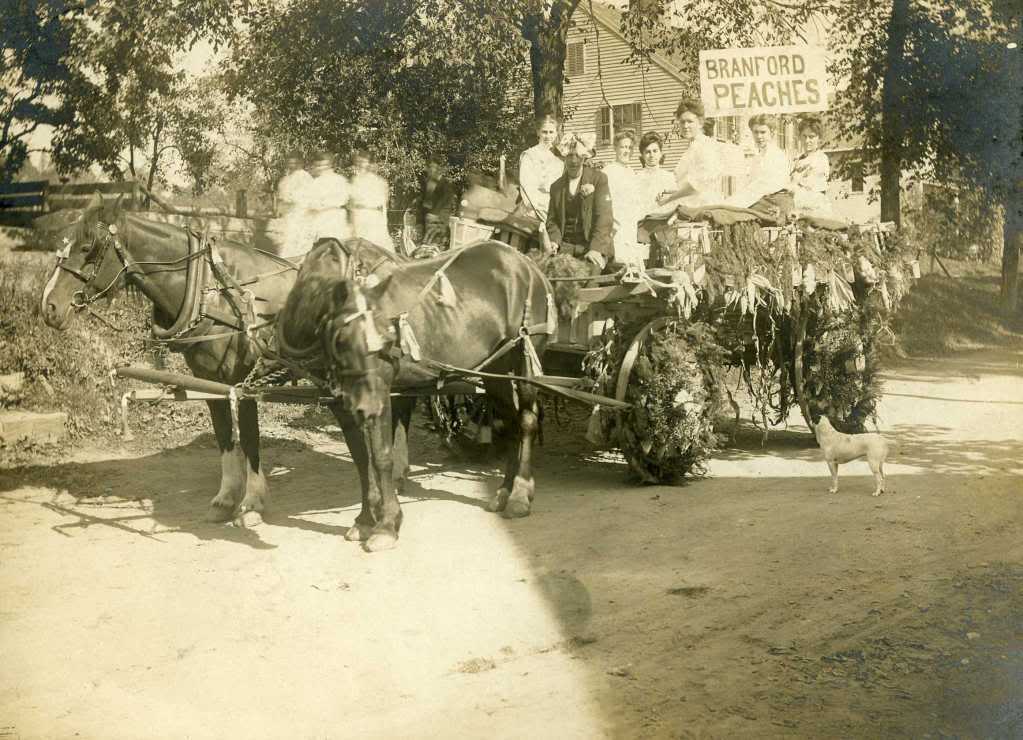 1905-Carnival-Branford-peaches-float.jpg