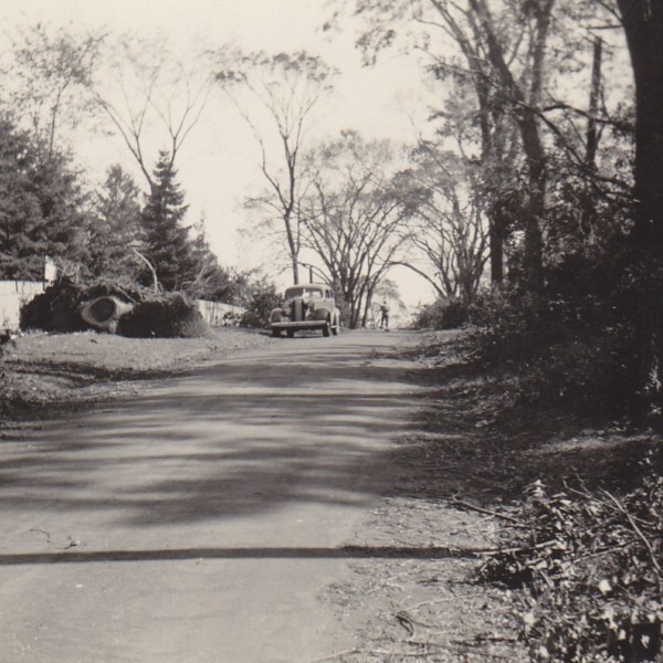 Elm-Street.jpg Elm-Street.jpg