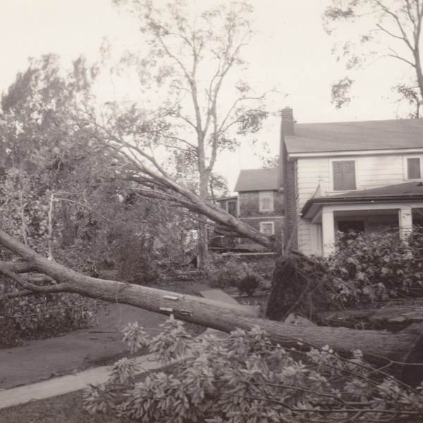 Clark Avenue at Beckett Avenue