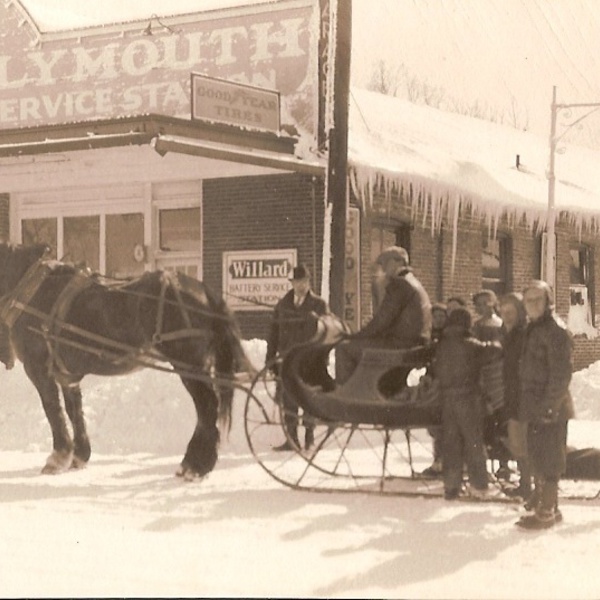 Horse pulling sleigh