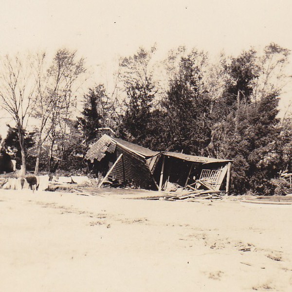 Thimble Farms Beach #4