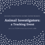 Animal Investigators: A ZOOM Winter Tracking Event for grades K-4