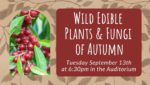 Wild Edible Plants and Fungi of Autumn