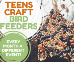 TeensCraft: Bird Feeders for grades 5-12